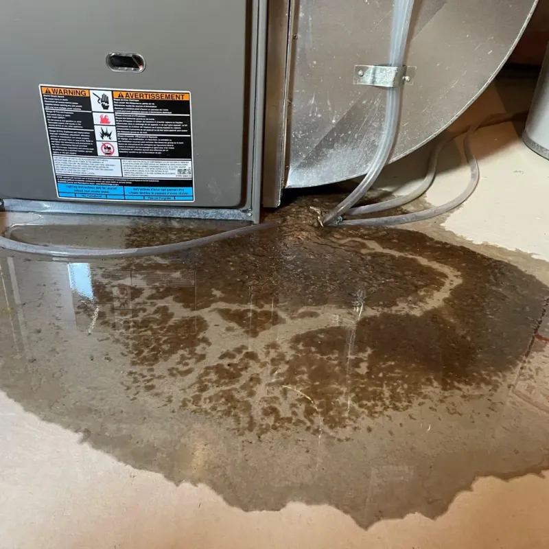 Appliance Leak Cleanup in Eufaula, AL